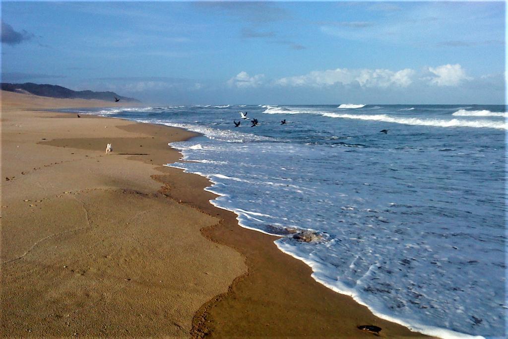 Panorama Guest House Port Alfred Exteriér fotografie